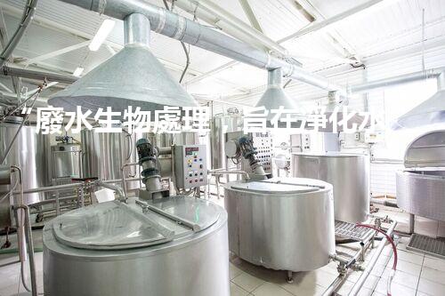 “廢水生物處理，旨在凈化水源，守護碧水藍天”